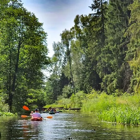Zielone Wrzosowisko *