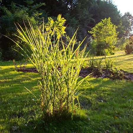 Holiday home Zielone Wrzosowisko *