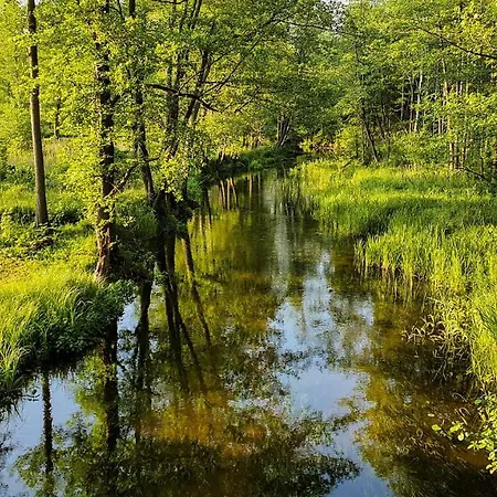 Дом отдыха Zielone Wrzosowisko