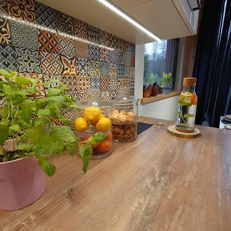 Holiday home Zielone Wrzosowisko *
