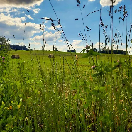Holiday home Zielone Wrzosowisko *